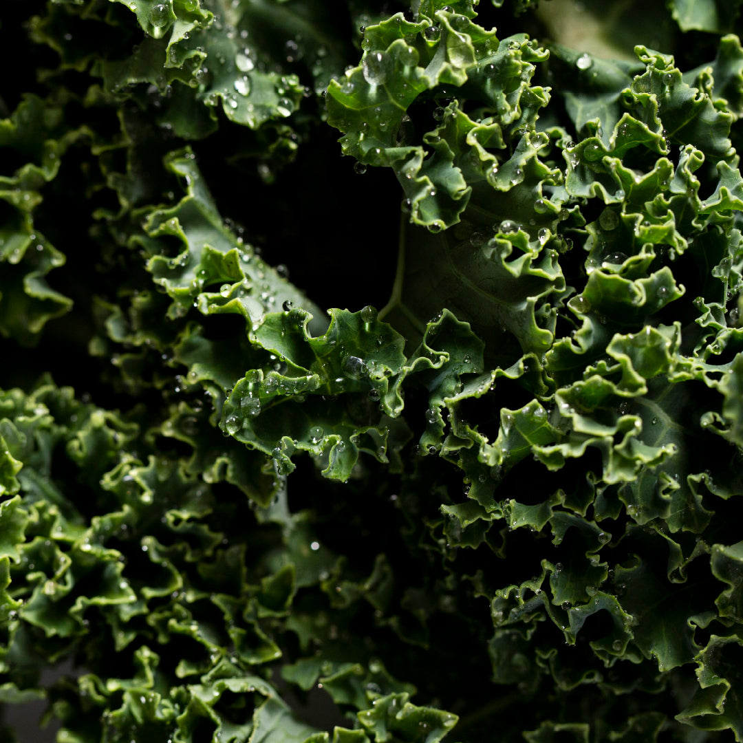 Kale Tales